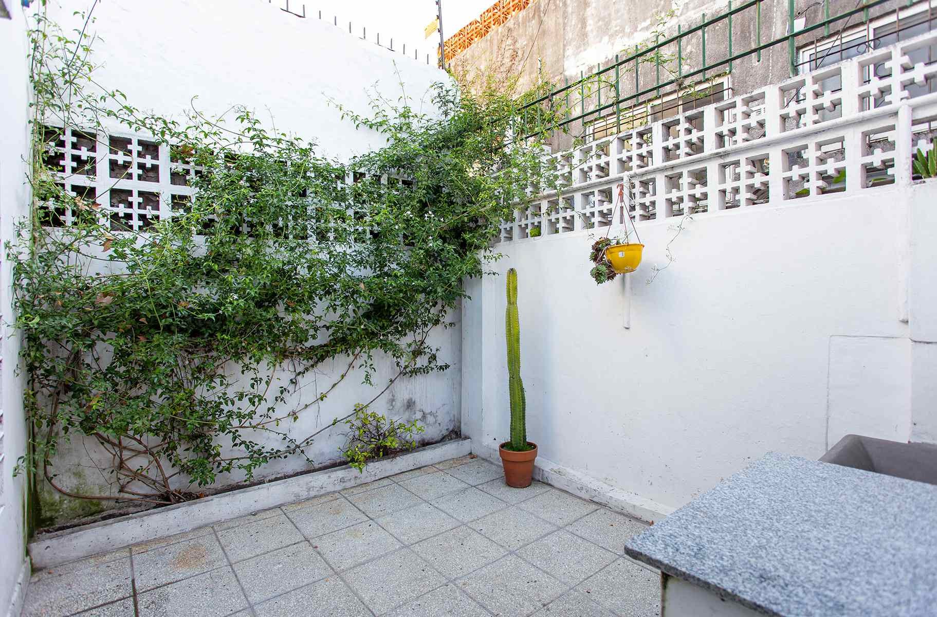 FELIX DE AZARA al 900 49