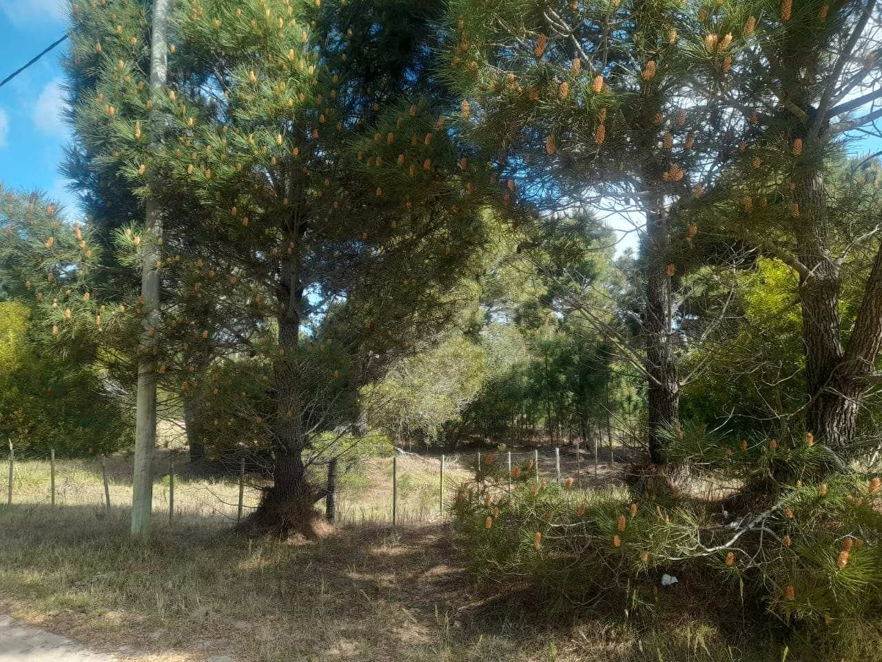 CALLE 27 (AV. ALMTE. BROWN) Lote 4 Y 5 3