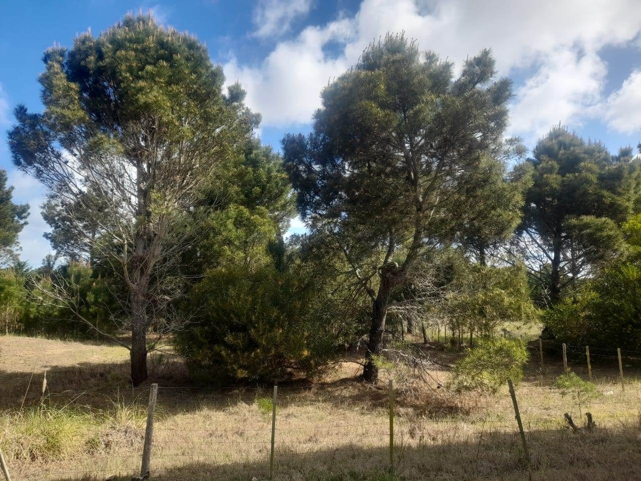 CALLE 27 (AV. ALMTE. BROWN) Lote 4 Y 5 6