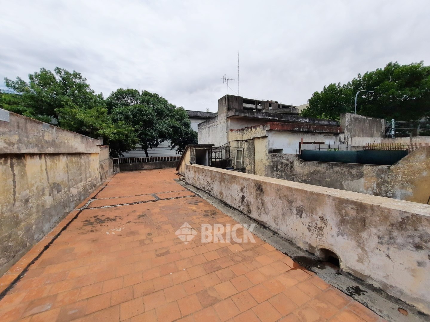 15 DE NOVIEMBRE DE 1889 al 1300 26