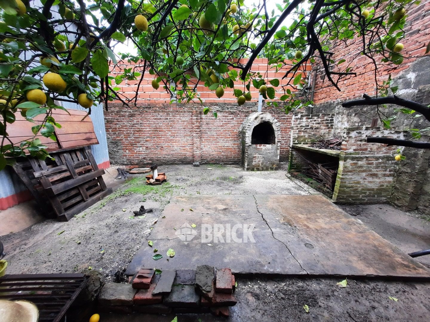 PLAUL, SANTIAGO al 3200 24