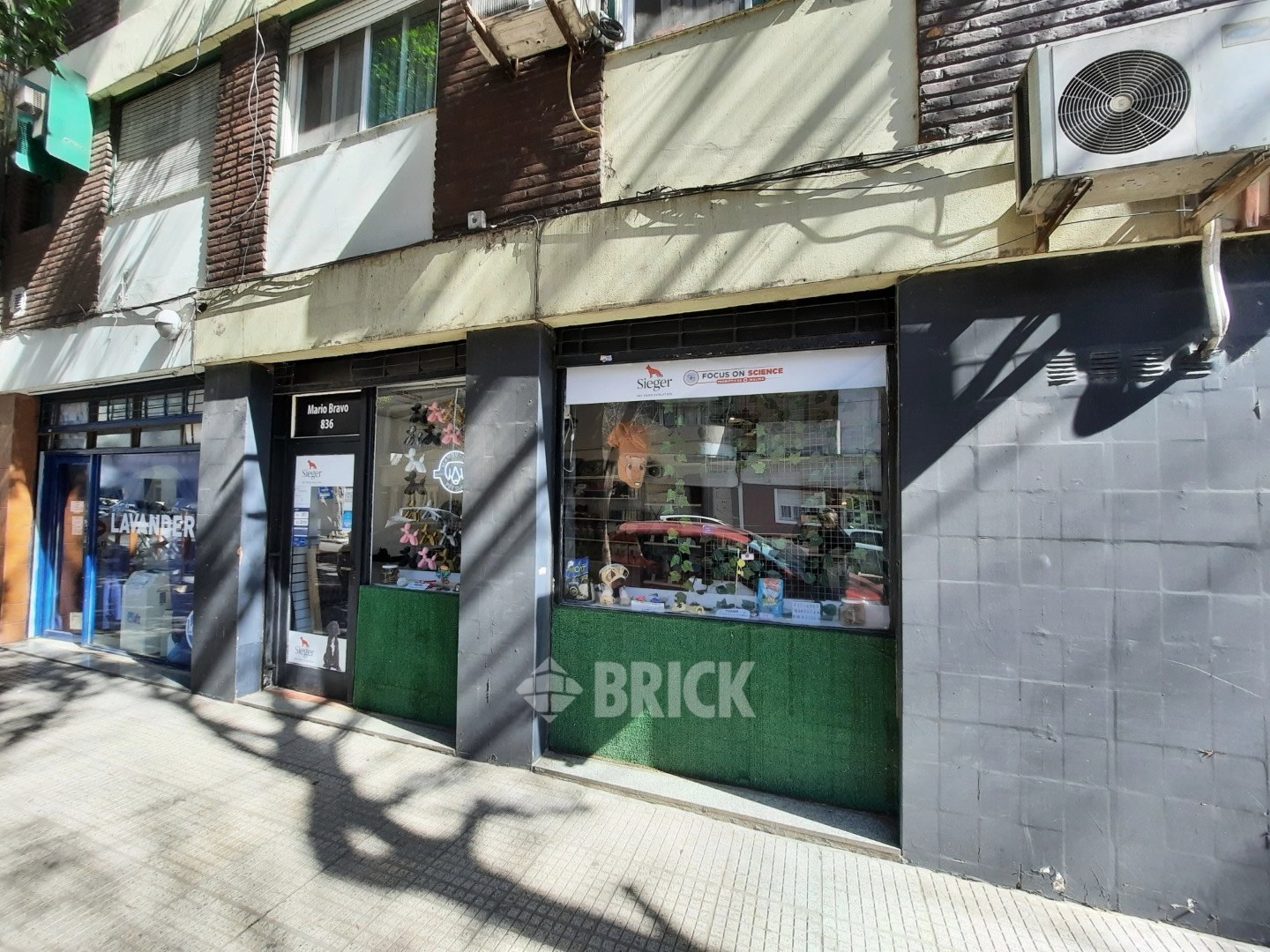 BRAVO, MARIO al 800 12