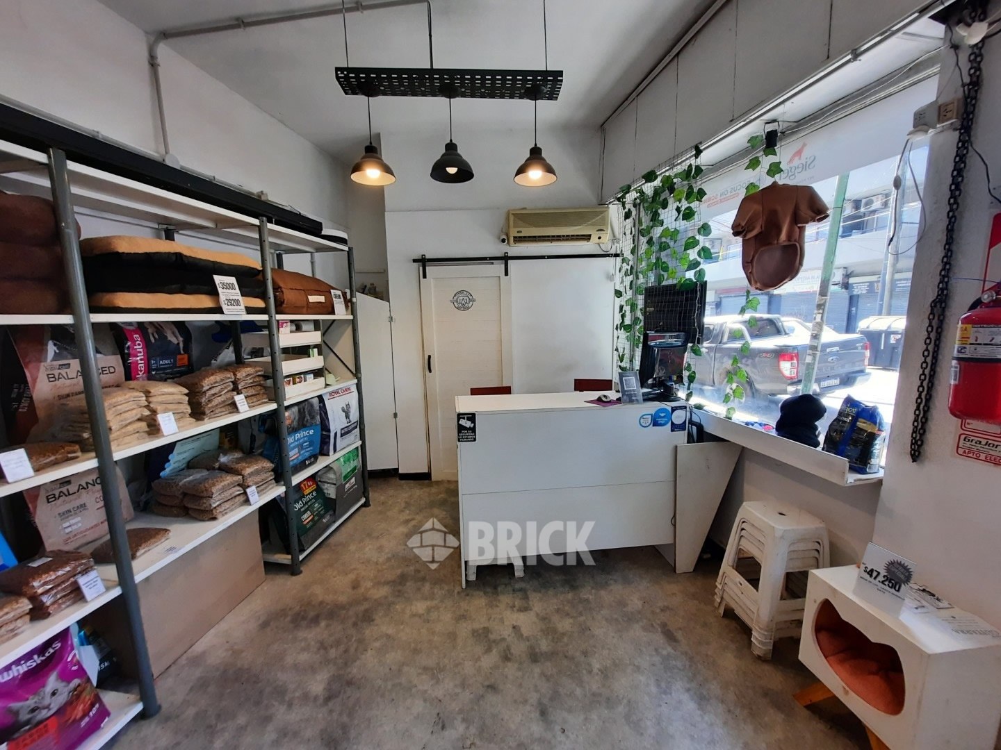 BRAVO, MARIO al 800 4