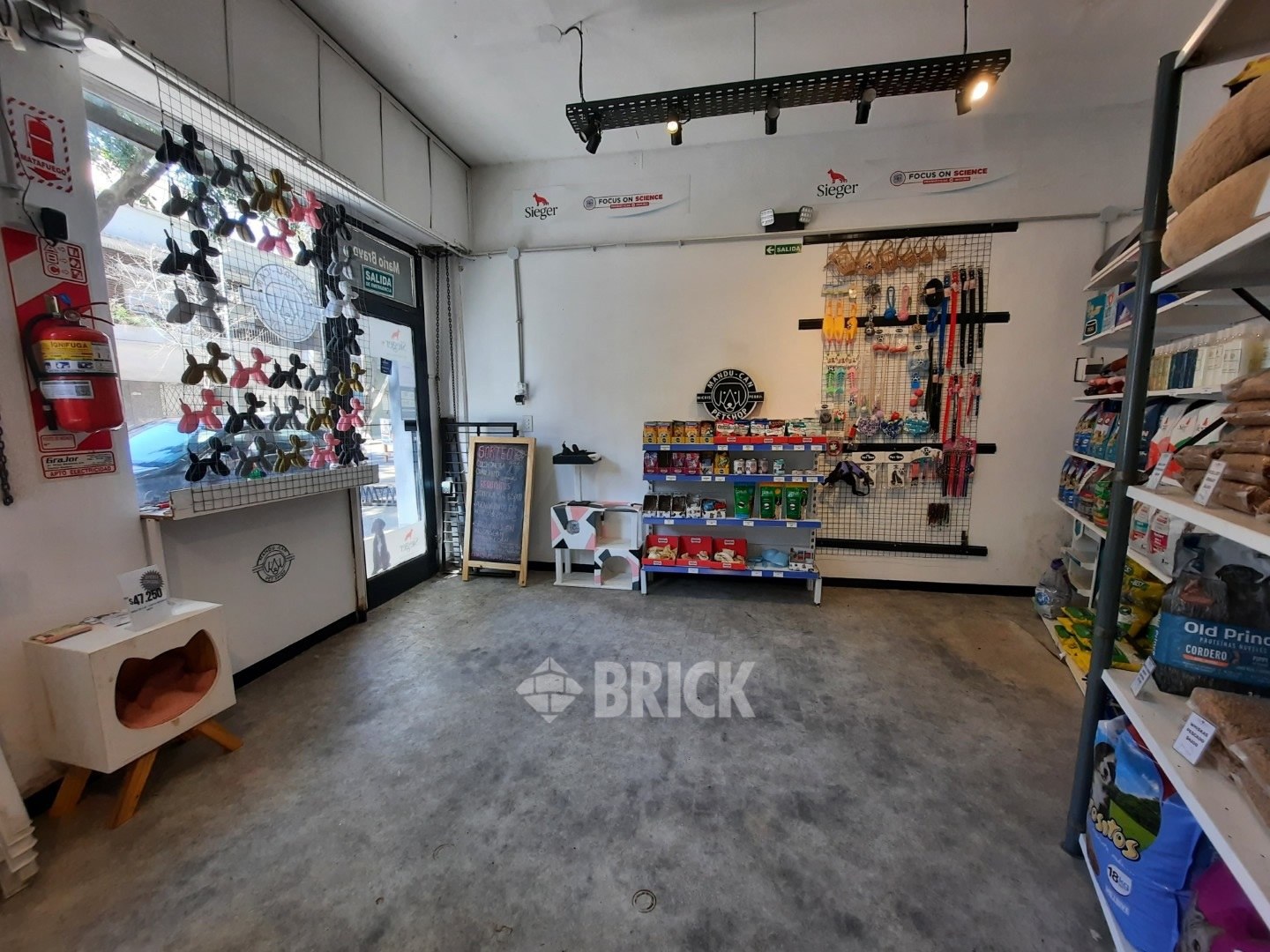 BRAVO, MARIO al 800 6