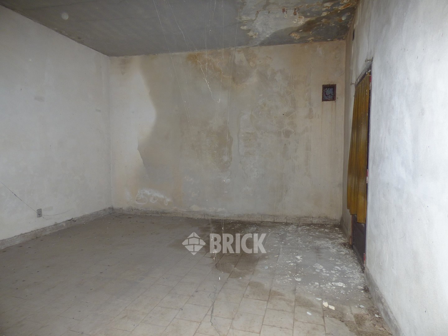 HUMBERTO 1° al 3000 15