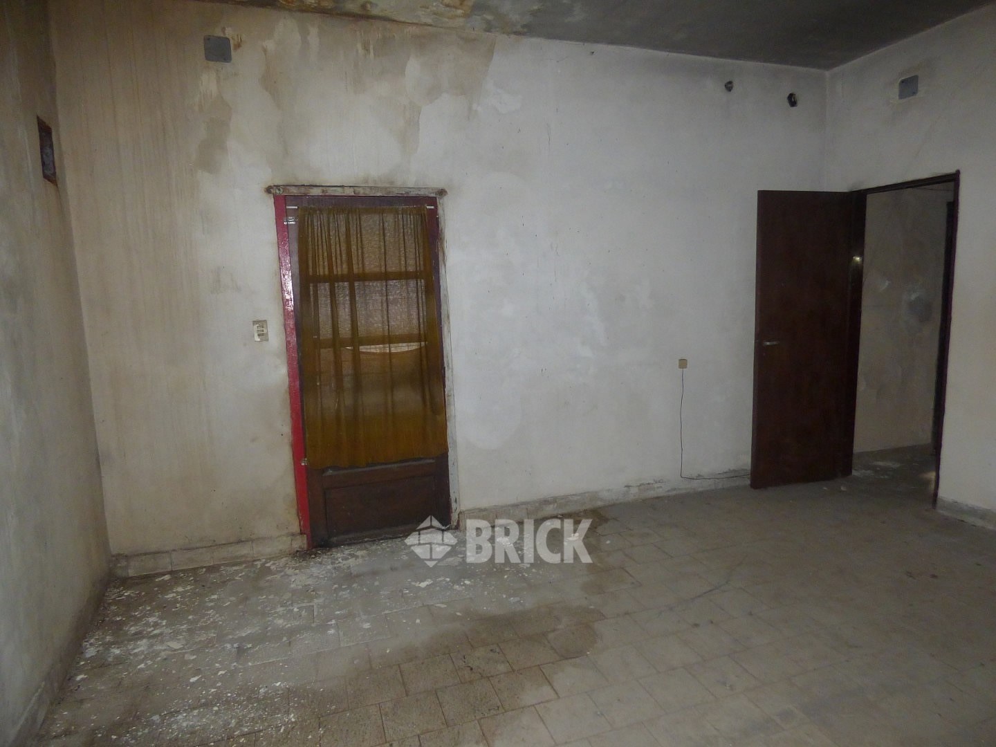 HUMBERTO 1° al 3000 16