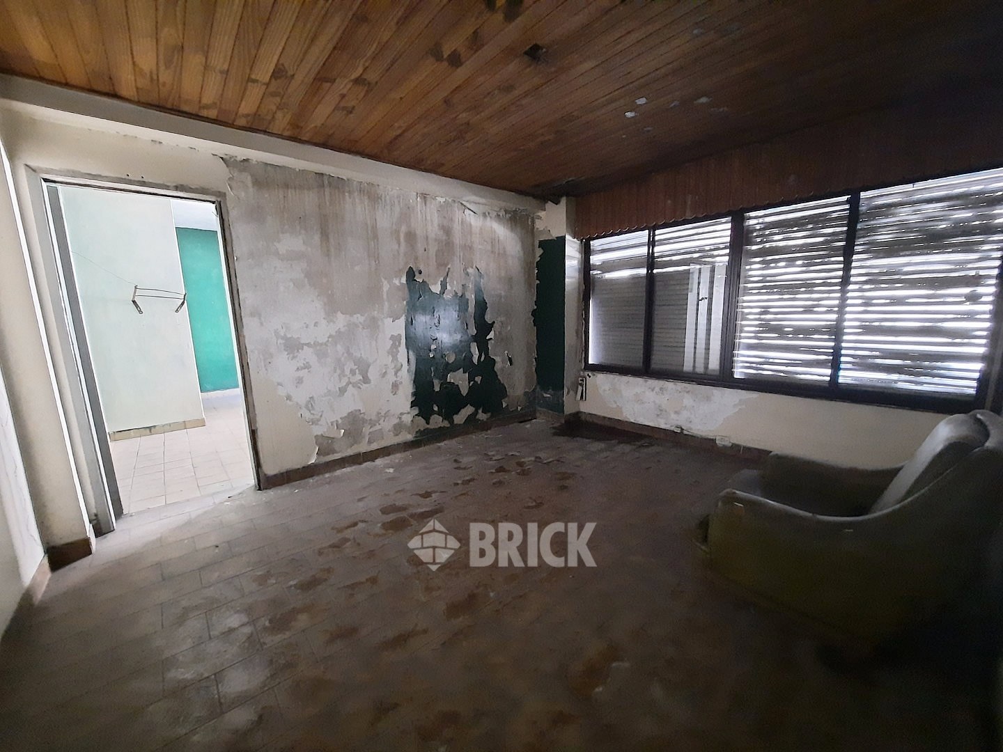 HUMBERTO 1° al 3000 18