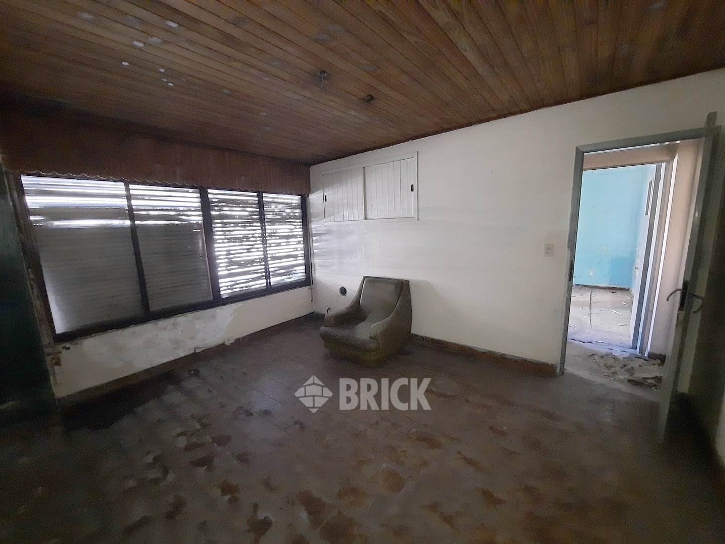 HUMBERTO 1° al 3000 19