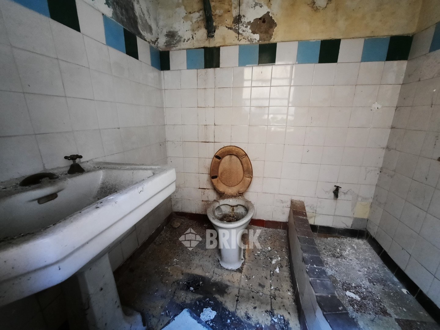 HUMBERTO 1° al 3000 34