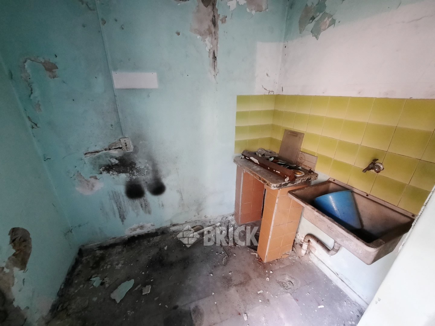 HUMBERTO 1° al 3000 37