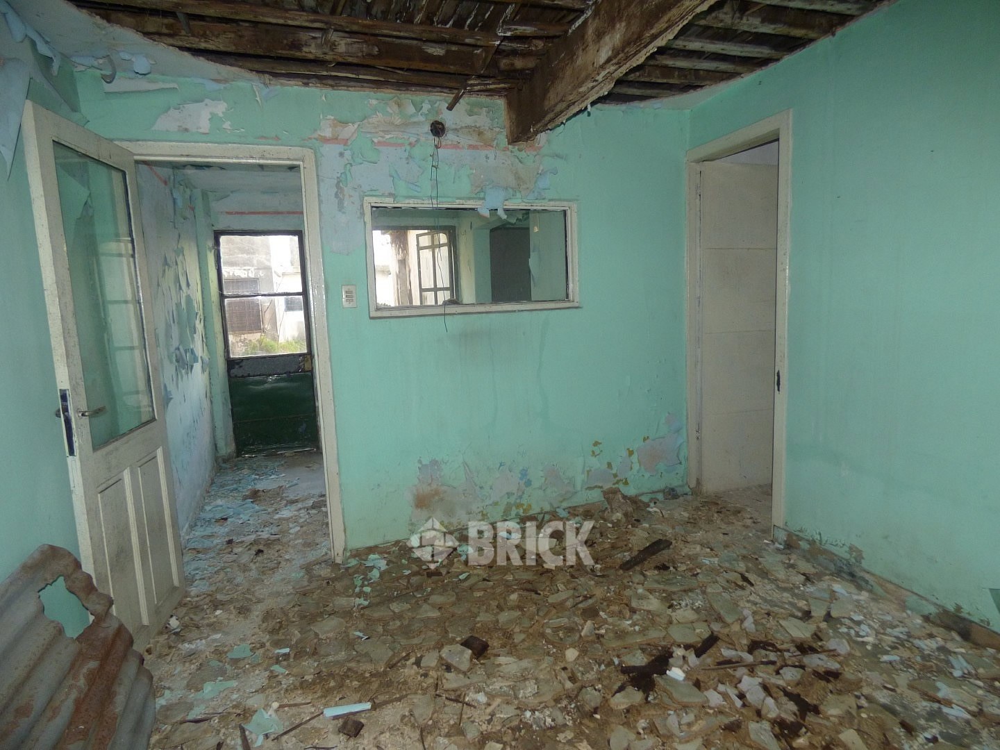 HUMBERTO 1° al 3000 39