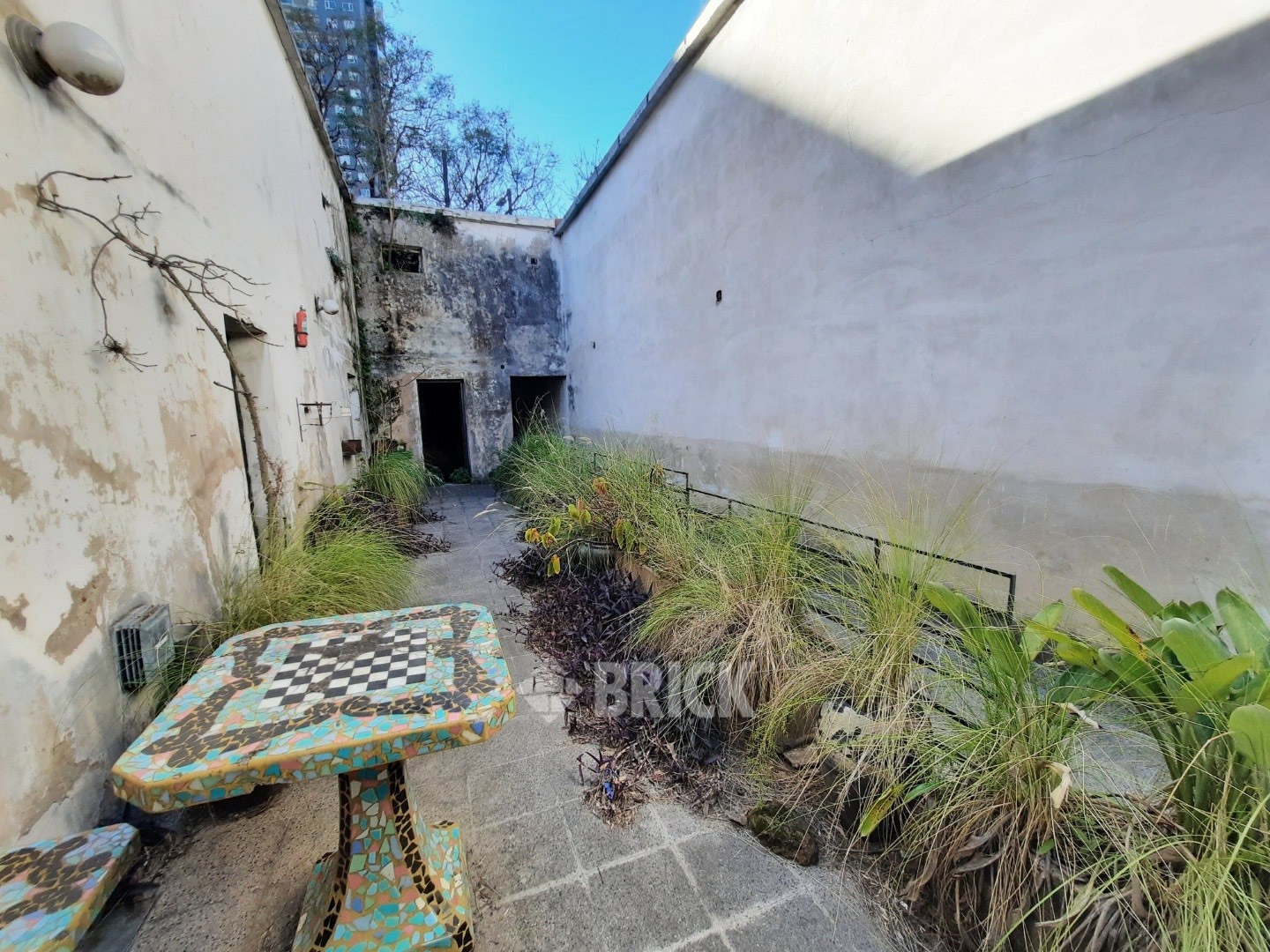 HUMBERTO 1° al 3000 4