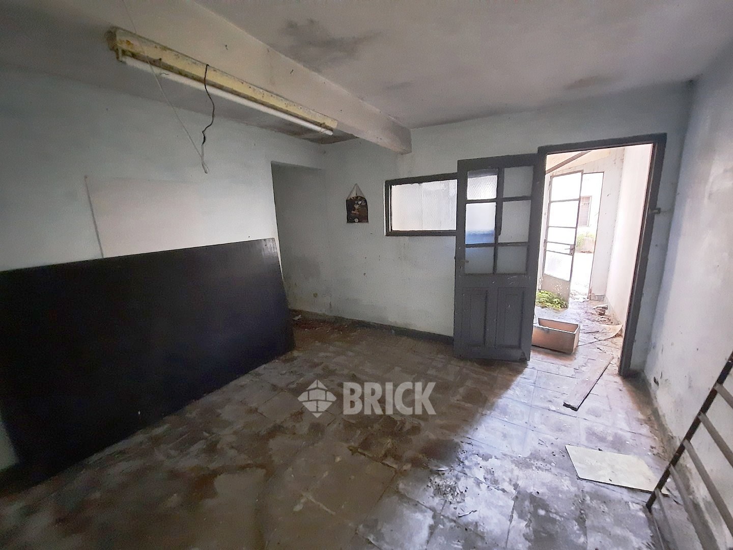 HUMBERTO 1° al 3000 47