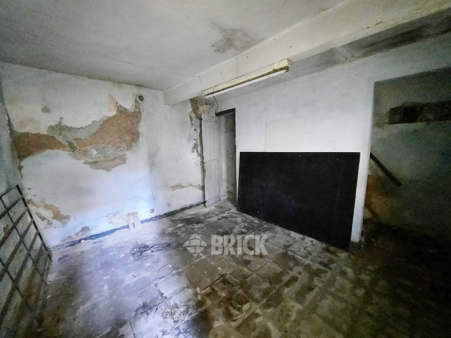 HUMBERTO 1° al 3000 48