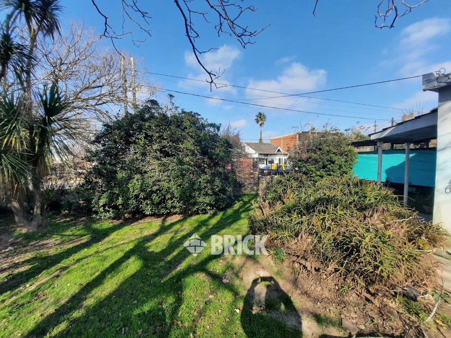 LOS STUDS al 1000 21