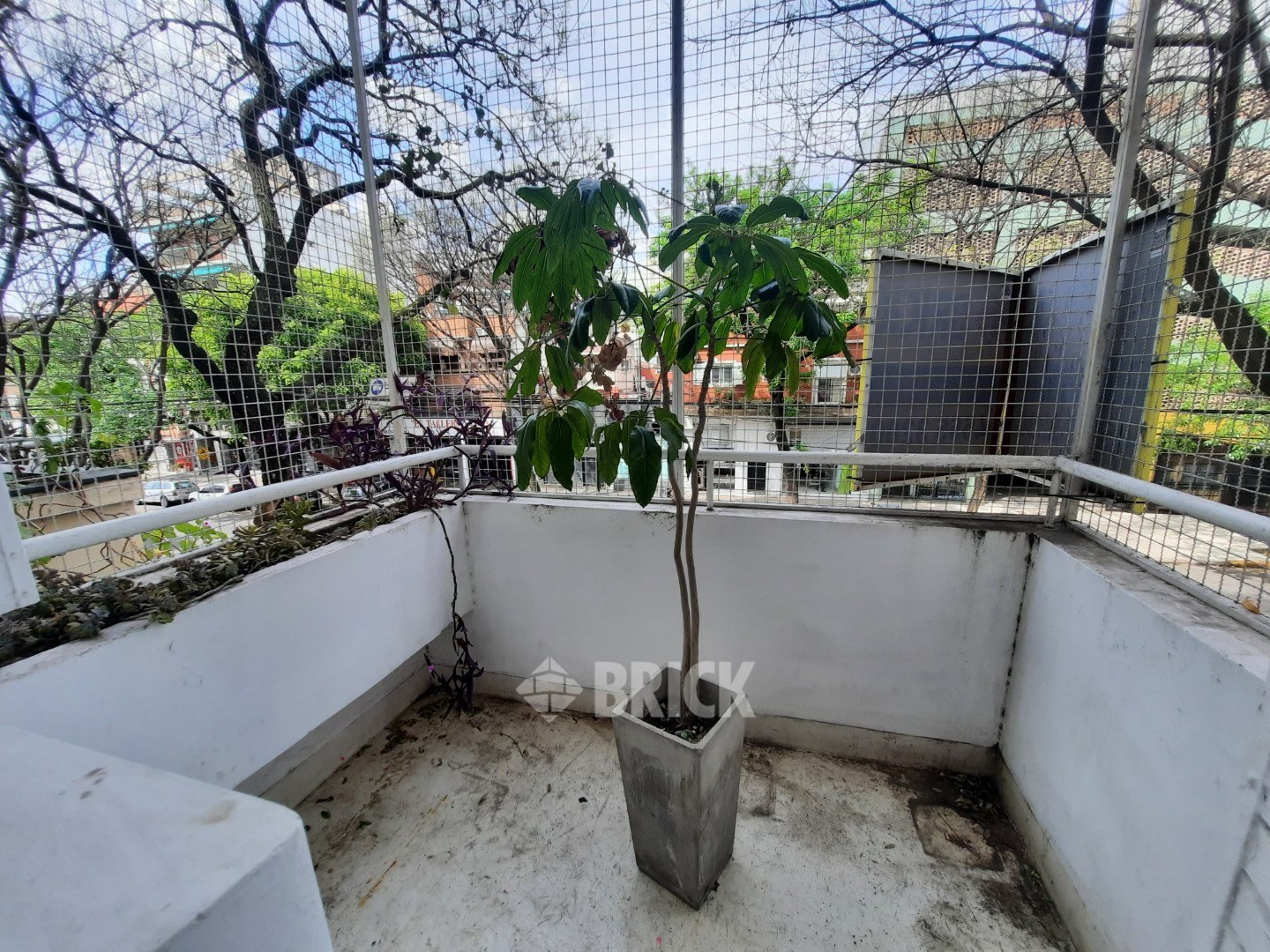 ELCANO, AV. al 3600 Piso 1 11