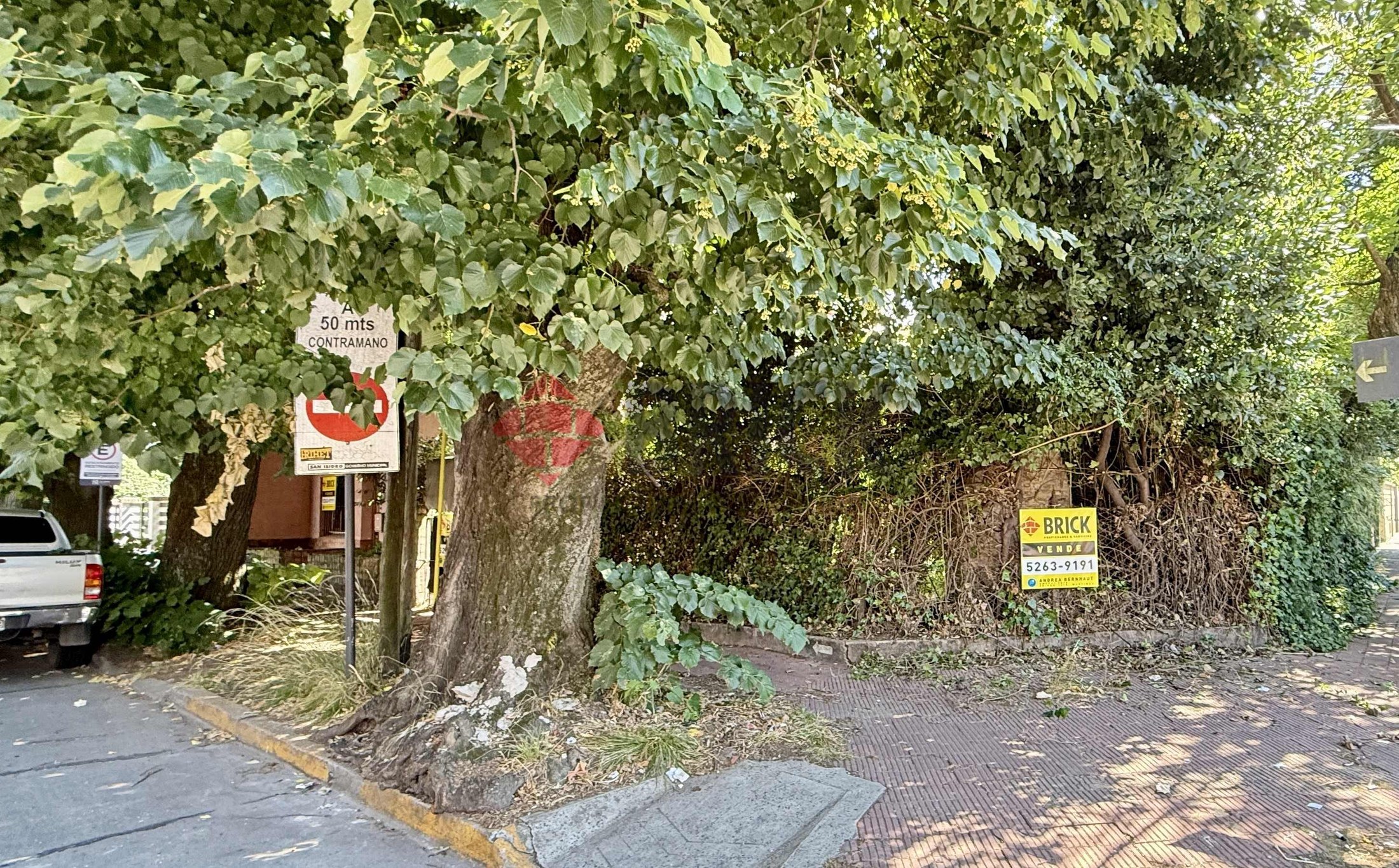 MARTIN CORONADO al 300 4