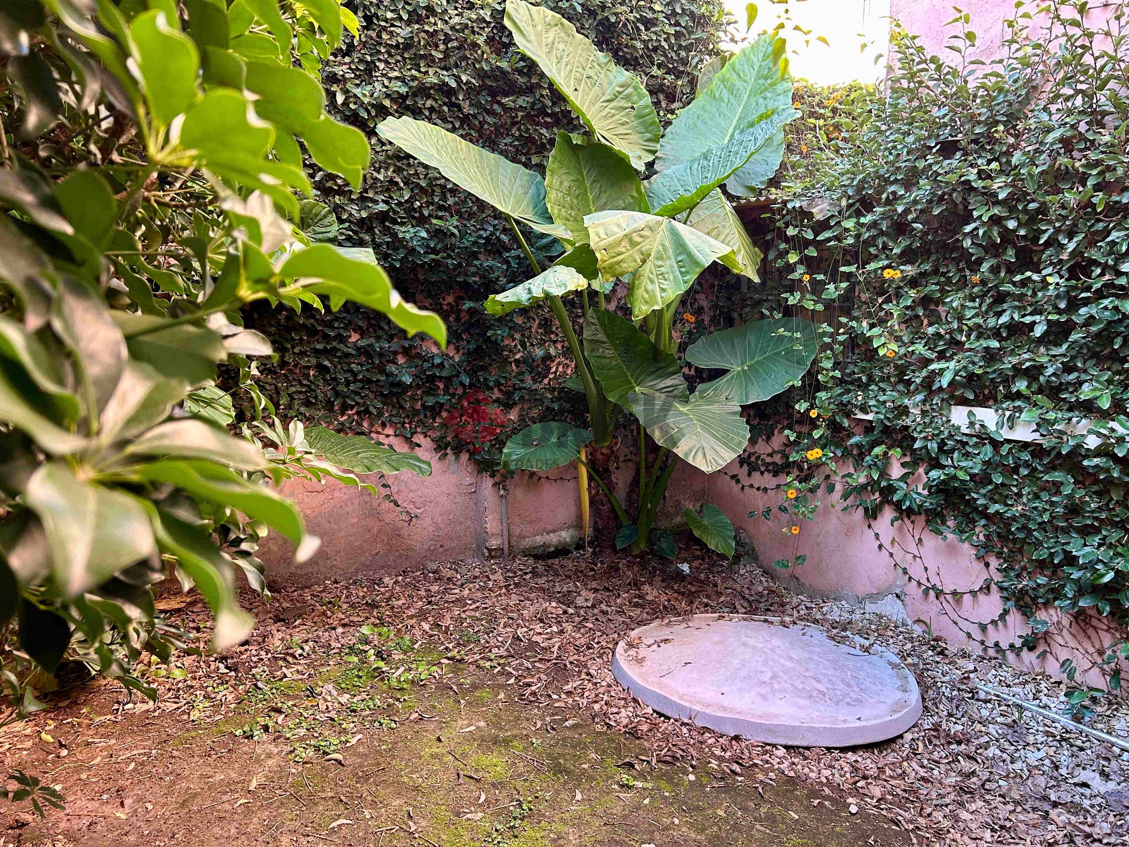 MARTIN CORONADO al 300 7