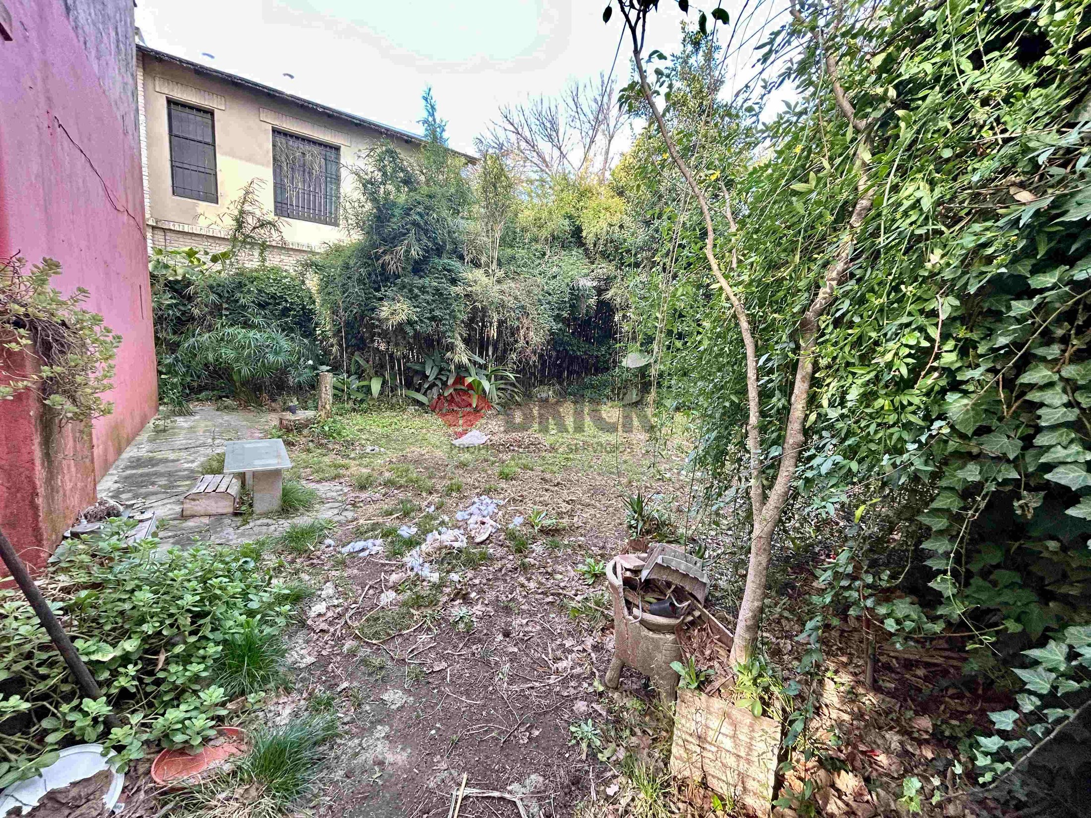 MARTIN CORONADO al 300 8